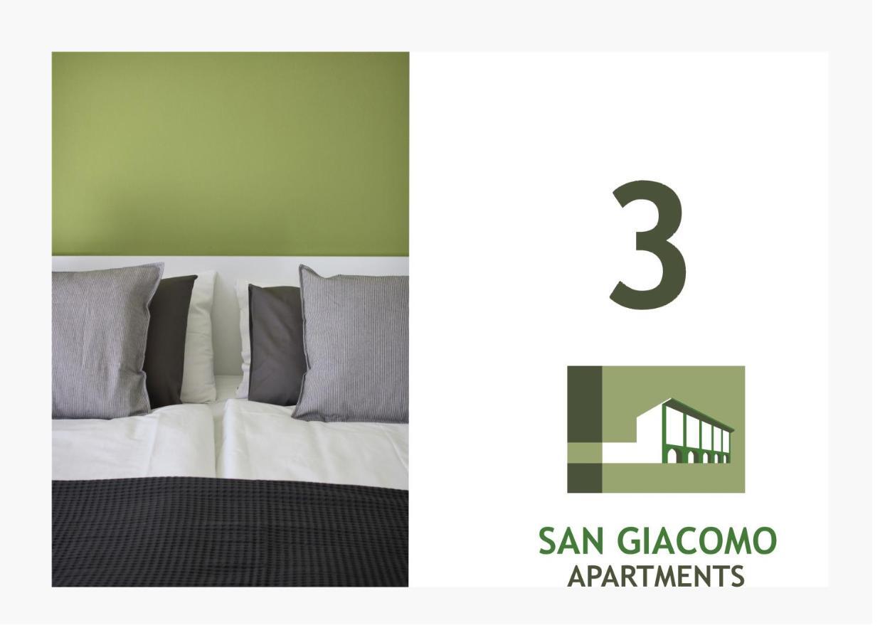 San Giacomo Apartments リーヴァ・デル・ガルダ 部屋 写真